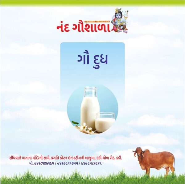 ગૌ દુધ - Image 2
